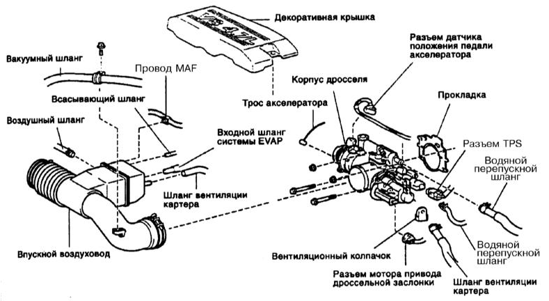 Детали установки корпуса дросселя на двигателях 2UZ-FE